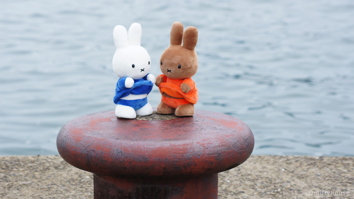 ぬいぐるみ 年末値引き☆おなかみせミッフィー＆メラニー