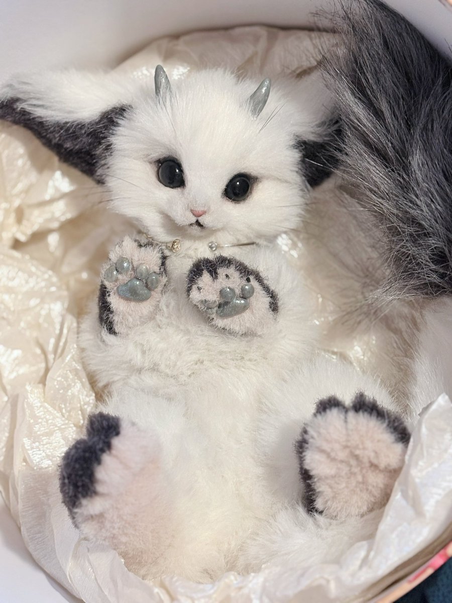 あにゃ@あにゃまるず (@macaronoxou) / Posts / X