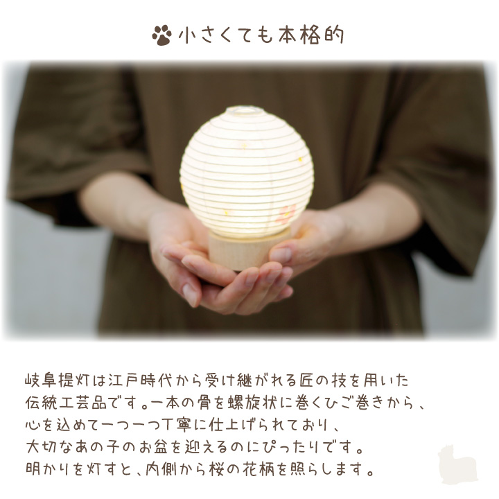 ペット仏具 丸形 さくら ライト ミニ 提灯 コードレス 桜特集 【送料無料】