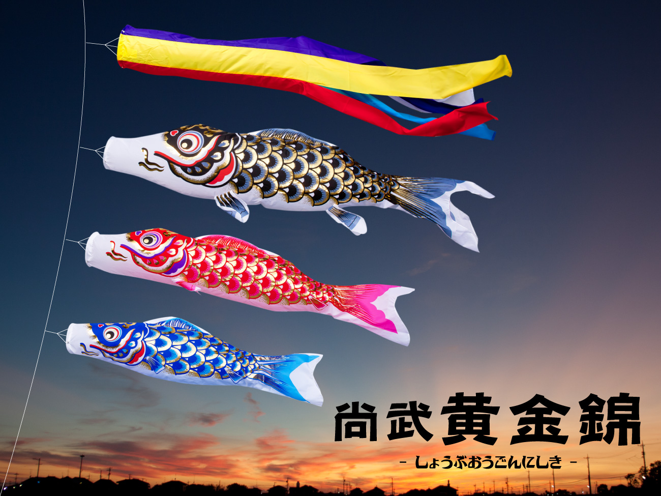 コスパに優れた人気鯉のぼり「尚武黄金錦」 – コンパクトでおしゃれな