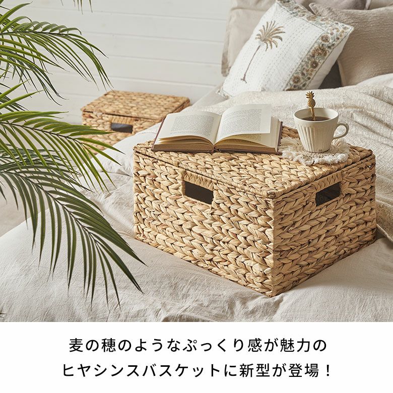 かご バスケット 蓋付き Lサイズ 収納ボックス フタ付き 約 W 43 cm D