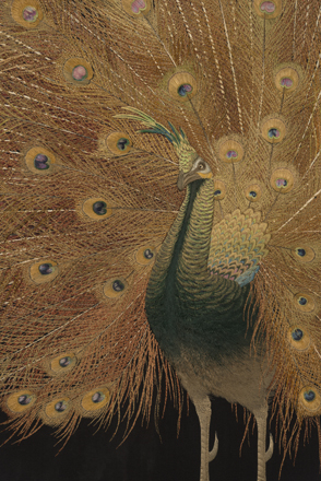 独立行政法人国立美術館・所蔵作品検索