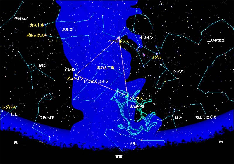 星座図鑑・おおいぬ座