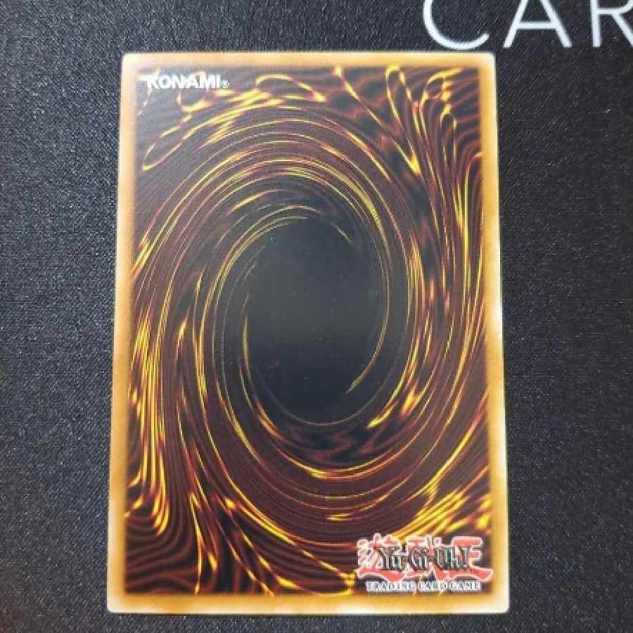 遊戯王 ブルーアイズホワイトドラゴン レジェンダリーコレクション