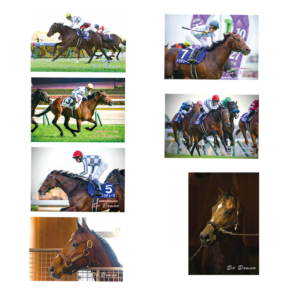 ポストカード ドウデュース 7枚セット ver.1 - 競馬グッズの通販サイト