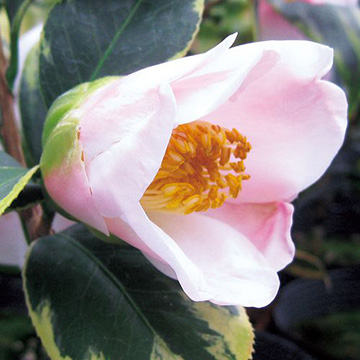 750-NTB640.jpg?202602031613