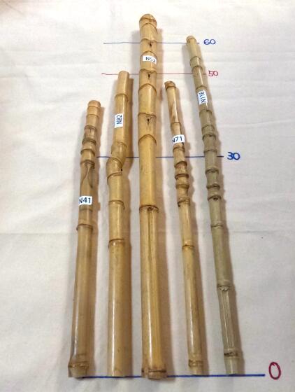 楽天市場】布袋竹 【布袋竹N28】 杖に最適・釣り竿のグリップに最適