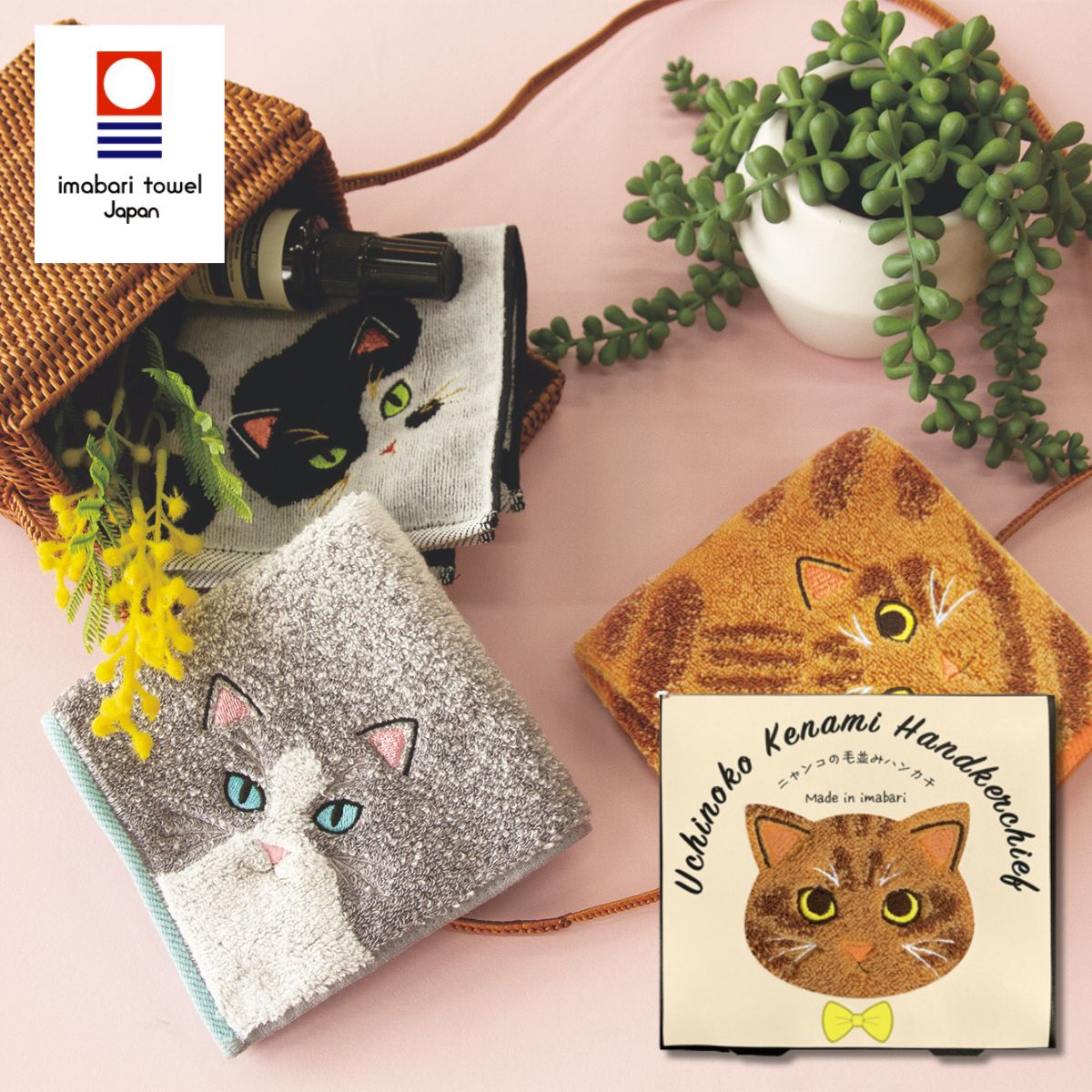 楽天市場】Uchinoko mate ハンカチ 今治タオル UCHINOKO うちの