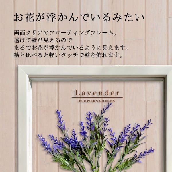 壁掛け 絵画 ボタニカルフレーム ラベンダー/フェイクグリーン