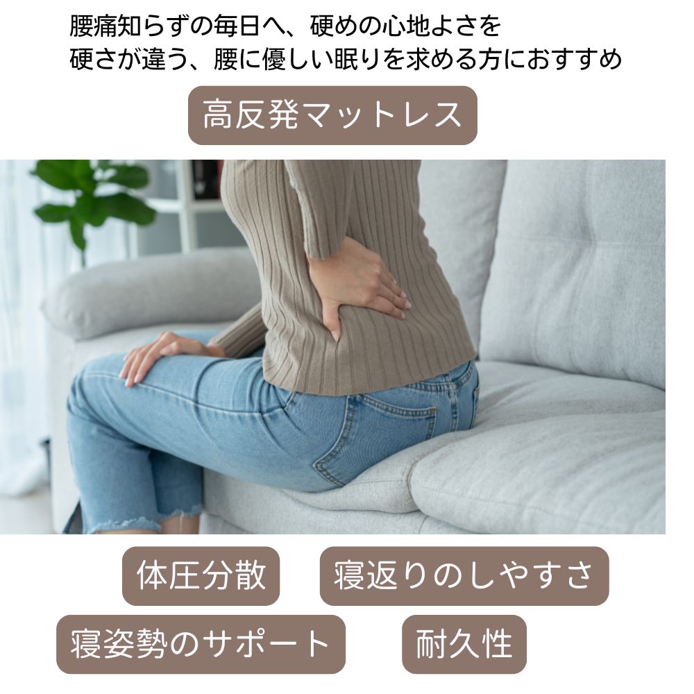 magniflex（マニフレックス） モデル246 マットレス セミダブル 腰痛