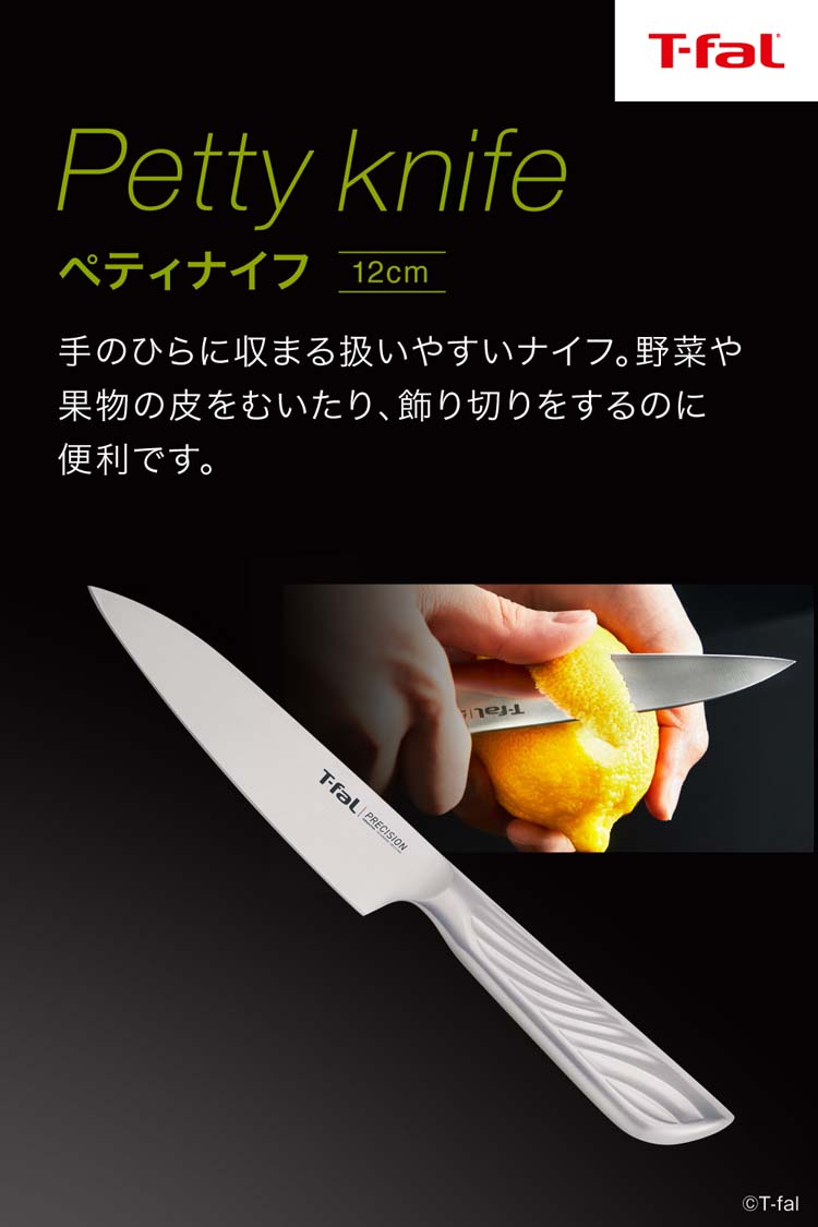 プレシジョン ペティナイフ 12cm ( 1本 )/ ティファール(T-fal) : 爽快