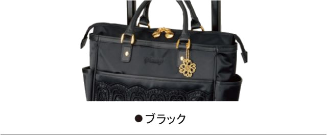 D-595 近沢レース店ノワール (M18) ブラック <T2キャスター・4輪