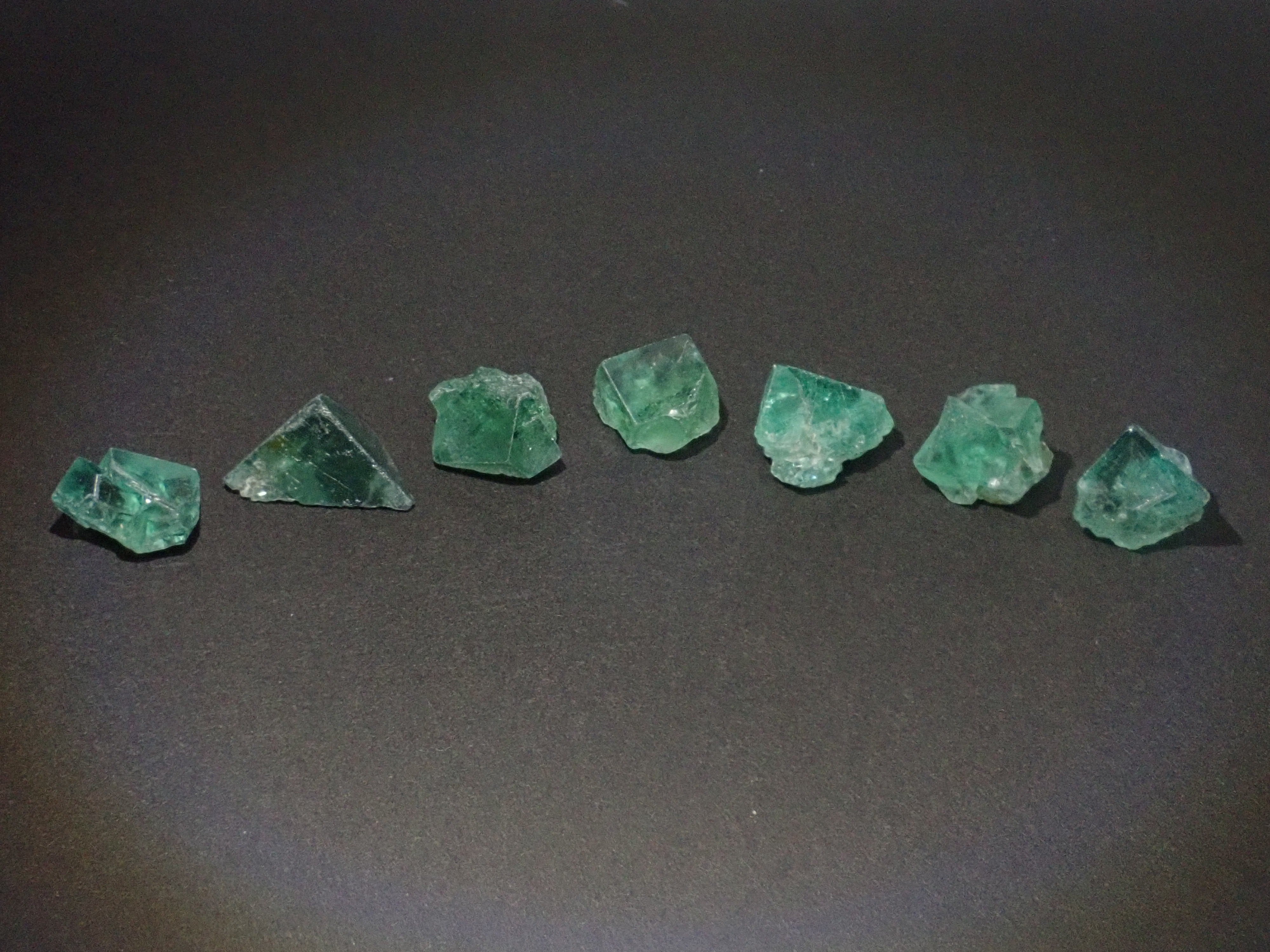 ツーソン新着》イギリス・ダイアナマリア産＆レディアナベラ産フロー