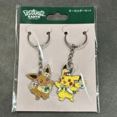 新品未開封】ポケパークカントー 限定 ピカチュウ イーブイ