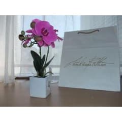 エミリオロバ EMILIO ROBBA 2本立て胡蝶蘭 未試用品 - メルカリ