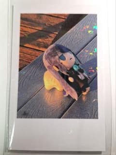 m50017370640_1.jpg?1762669549