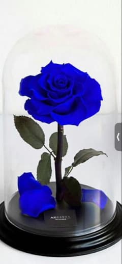 青いバラ プリザーブドフラワー クリアドーム 〜amorosa〜 - メルカリ