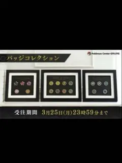 2026年最新】ポケモン バッジ チャンピオンロードの人気アイテム