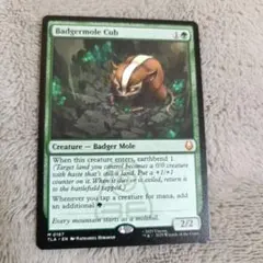 2026年最新】アナグマモグラの仔の人気アイテム - メルカリ