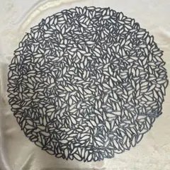 2026年最新】chilewich ランチョンマットの人気アイテム - メルカリ