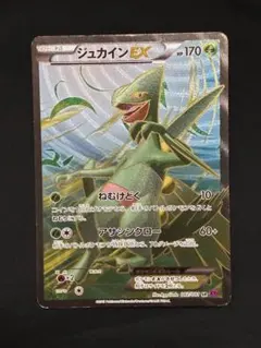 2026年最新】MジュカインEX srの人気アイテム - メルカリ