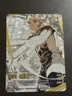 2026年最新】日向翔陽まとめ売りの人気アイテム - メルカリ