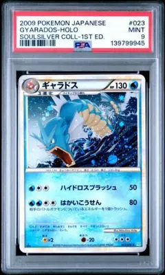 2026年最新】ギャラドス psa10の人気アイテム - メルカリ