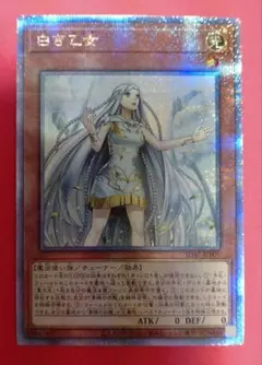 2026年最新】白き乙女 25の人気アイテム - メルカリ