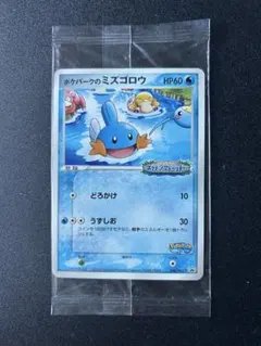 2026年最新】ポケモンカード ポケパークのミズゴロウの人気アイテム