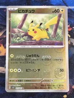 m54045489601_1.jpg?1771696754