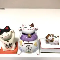 2026年最新】猫舎道楽堂本舗の人気アイテム - メルカリ