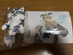 2026年最新】パンダドラゴン たいが ぬいぐるみの人気アイテム - メルカリ