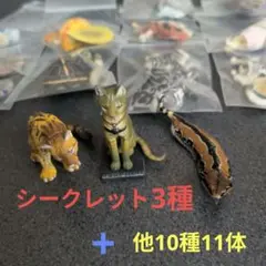 2026年最新】チョコエッグ シークレット ツチノコの人気アイテム