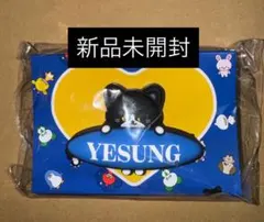 2026年最新】SUPERJUNIORイェソンの人気アイテム - メルカリ