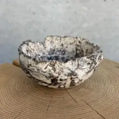 2026年最新】たけろうポットちぎりの人気アイテム - メルカリ