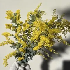 2026年最新】キャンドルミモザの人気アイテム - メルカリ