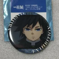 2026年最新】鬼滅の刃 柱展 エモーショナル缶バッジの人気アイテム