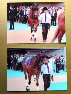 2026年最新】池添謙一の人気アイテム - メルカリ