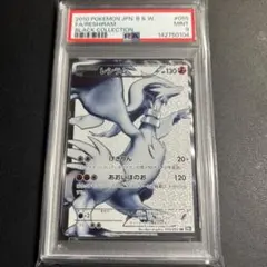 2026年最新】レシラム psa10 アンリミの人気アイテム - メルカリ