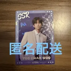 2025年最新】starlight boys トレカの人気アイテム - メルカリ