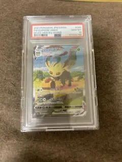 m89157780295_1.jpg?1771493504