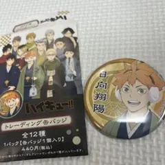 2026年最新】ハイキュー バラエティバッグ 缶バッジの人気アイテム