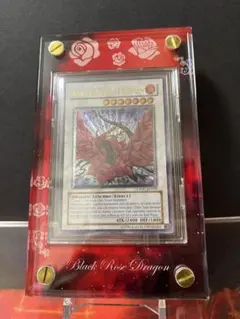 2026年最新】ブラックローズドラゴン レリーフ 英語の人気アイテム