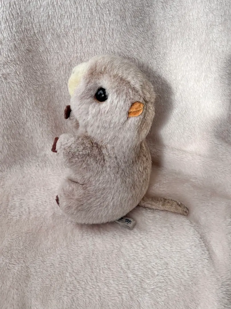 2026年最新】ファースト社 ぬいぐるみ ねずみの人気アイテム - メルカリ