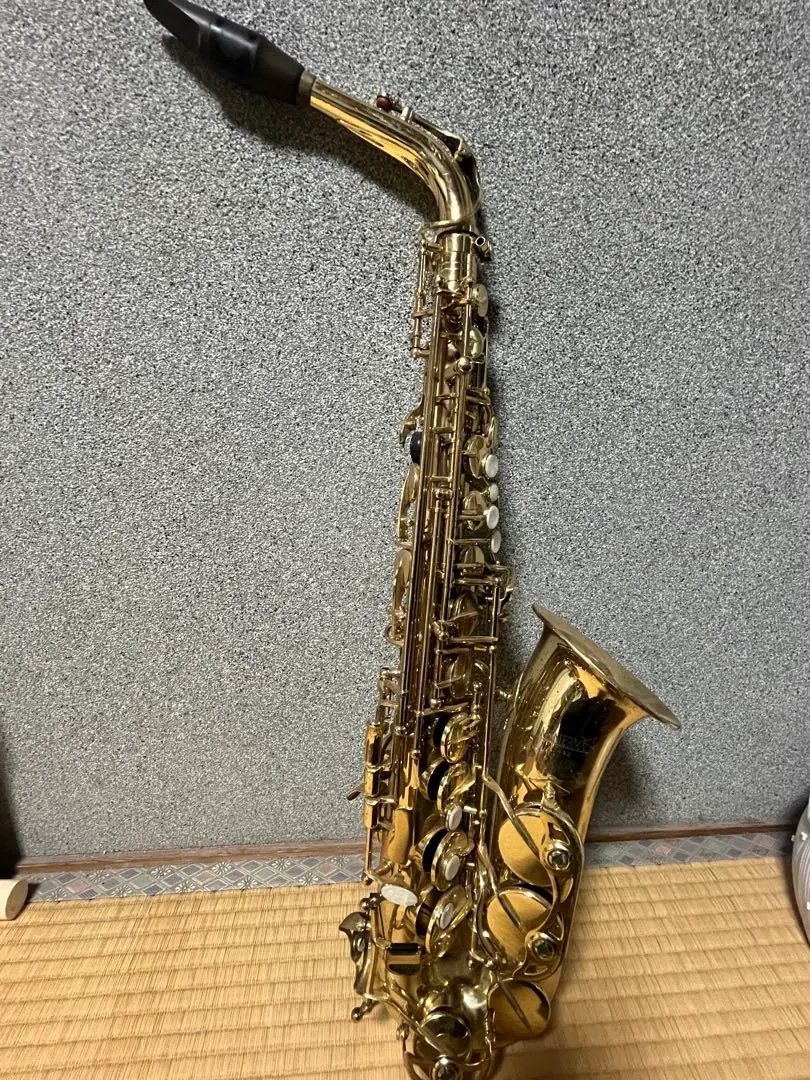 2026年最新】ミネルバ サックスの人気アイテム - メルカリ