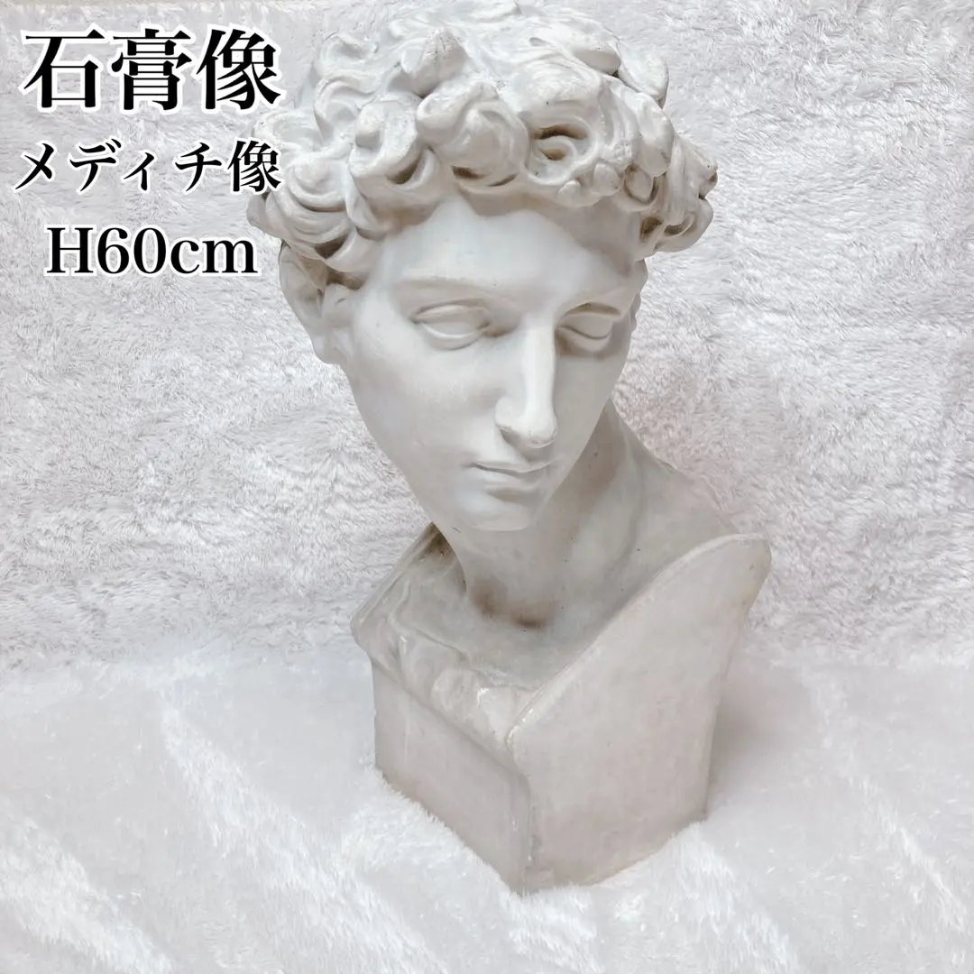 2026年最新】石膏像メディチの人気アイテム - メルカリ