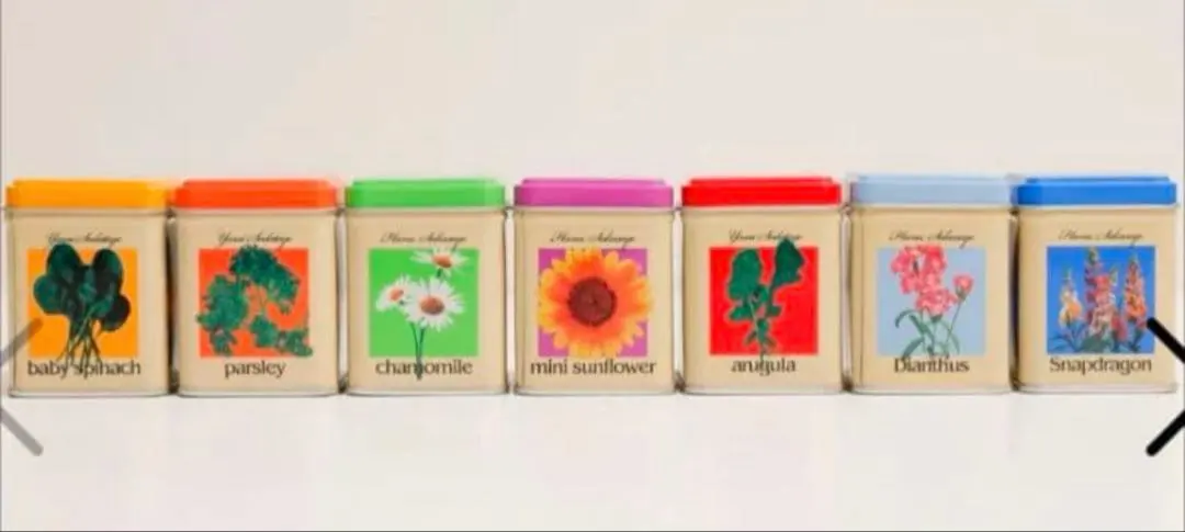 2026年最新】野菜缶 藤井風の人気アイテム - メルカリ