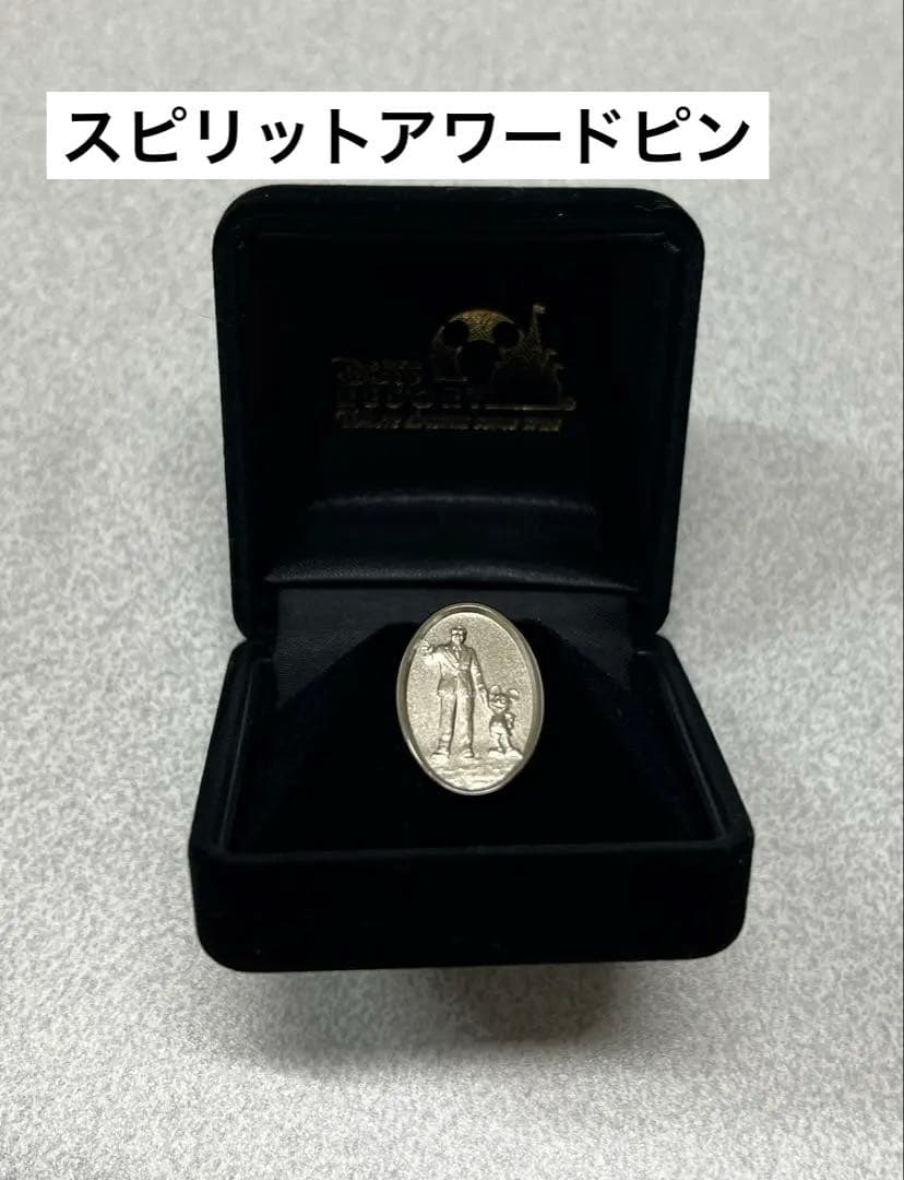未使用　ディズニー スピリット・アワードピン m14573525555_1.jpg?1734926934