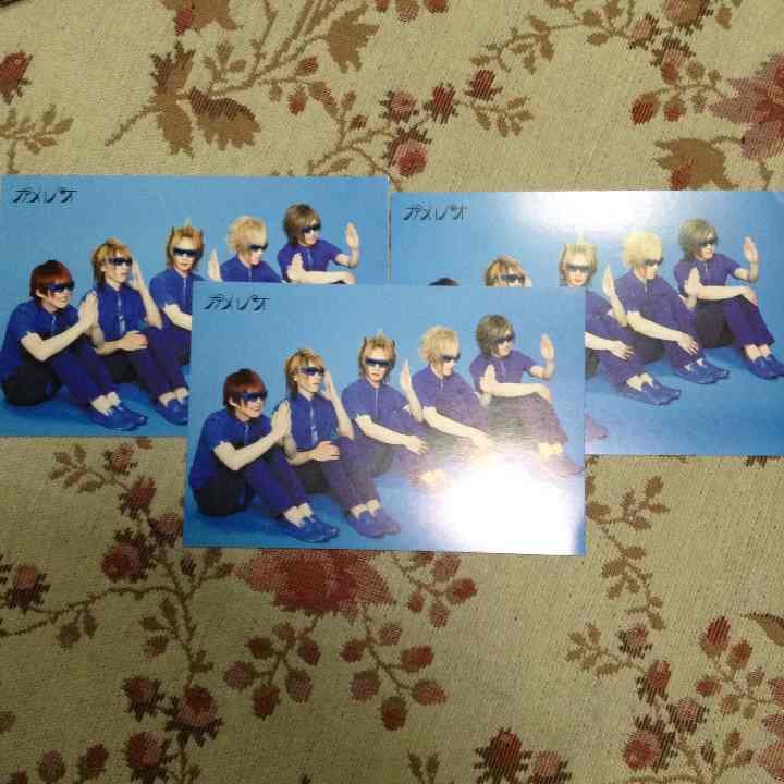 カメレオ フォト bir-c230203ay-050-yk-img_9403-