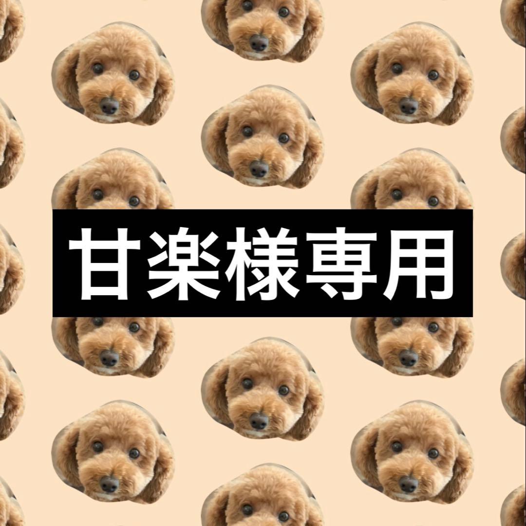 甘楽 アキレス・ソルボ C 541 黒｜牛革3E ウィンター用サイドゴアショート